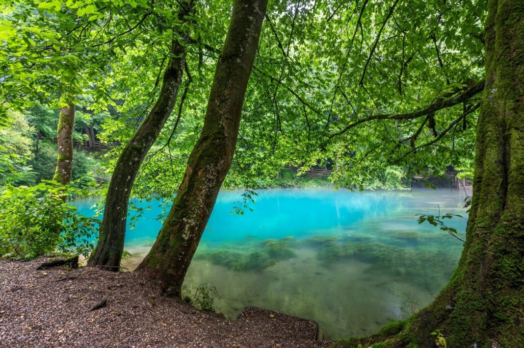 Geheimnisvoller Blautopf FISCH FANG