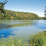 Brandenburg: Der Große und Kleine Oelsener See