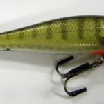 p155393-der-neue-BX-Minnow-von-Rapala_lightbox.jpg