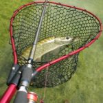 Tipps, Tricks und Neues  –  Teil 31 (Telescop Catch and Release Net von Berkley)