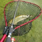 Tipps, Tricks und Neues  –  Teil 31 (Telescop Catch and Release Net von Berkley)