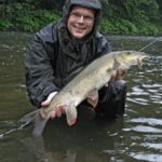 Zielfisch Barbe: Barben ohne Mühe