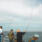 Zielfisch Dorsch: Ein Platz an der Reling