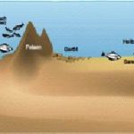 Abb. 3: Hier ist ein typisches Plateau zu sehen. Die Kreuze symbolisieren so genannte Peaks, das sind felsige Erhebungen. Die Heilbutts stehen bevorzugt in den sandigen Senken dazwischen.