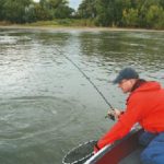 Die Silberpfeile legen sich im Drill ganz schön ins Zeug. Hier hat FISCH & FANG-Redakteur Markus Heine einen 80er Fisch am Band.