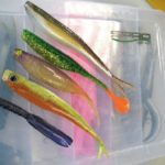 Die Top 5 des Autors (von oben nach unten): Fin-S Fish von Lunker City, Sea-Shad von Bass Assassin, Nitro Soft Shad Tail Jerk von Illex, Fin Shad von Spro und Dart von Illex.