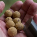 Mit kleinen Boilies werden die Futter-Lücken per Wurfrohr geschlossen. Bild: Korda