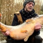 Was für ein Fisch zum Saisonstart: 28,9 brachte der niederländische Spiegler von Michael Nürenberg auf die Waage. Bilder: Korda