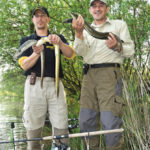 Zielfisch Aal: Fein am Baggersee