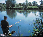 Unsere beiden Experten sind sich einig: Am liebsten angeln sie an kleineren und mittelgroßen Flüssen auf Rotaugen.