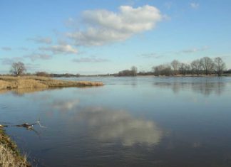 An der Elbe in Sachsen-Anhalt sind aus Naturschutzerwägungen Angelverbote geplant. Der Landesanglerverband wehrt sich dagegen mit einer Unterschriftenaktion. Bild: Sebastian Hänel