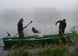 Wissenschaftler befischen den Helmstedter Buschmühlenteich. Zusammenarbeit mit Forschern fördert ökologische Handlungsweisen bei Anglern. Foto: IGB, Besatzfisch