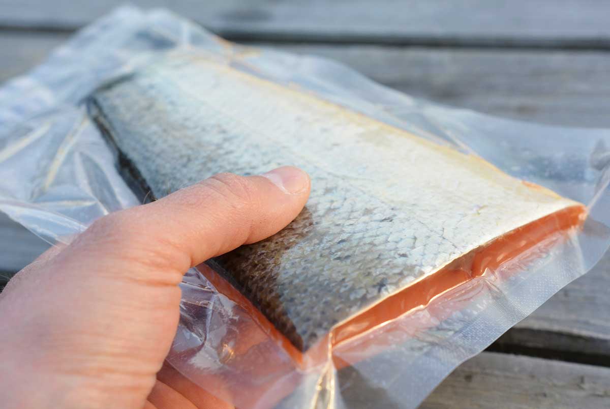 Jan Lock schmeckt der Fisch am besten, wenn er nach dem Räuchern noch einvakuumiert im Kühlschrank ein paar Tage „nachreift“.