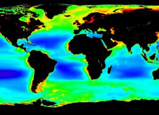 Globale Chlorophyll a-Karte, die das Team für seine Analysen verwendet hat. Blau und Grün zeigen einen niedrigen Phytoplanktongehalt an, während Rot für einen hohen Phytoplanktongehalt steht. Karte: NASA OceanColor Web