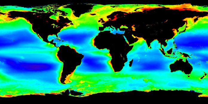 Globale Chlorophyll a-Karte, die das Team für seine Analysen verwendet hat. Blau und Grün zeigen einen niedrigen Phytoplanktongehalt an, während Rot für einen hohen Phytoplanktongehalt steht. Karte: NASA OceanColor Web