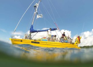 Das Forschungsschiff Aldebaran ermöglicht ungewohnte Perspektiven. Foto: ALDEBARAN Marine Research & Broadcast