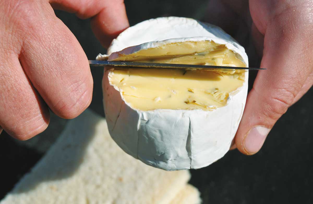 Nachdem man die Brotkruste und die Käserinde abgeschnitten hat, knetet man die Zutaten zu einem homogenen Teig.