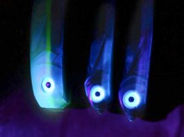 Der violette Schein einer UV-Lampe lässt die Augen der Shads auffällig leuchten; ein großer Reizfaktor, den Zander unter Wasser gut wahrnehmen.