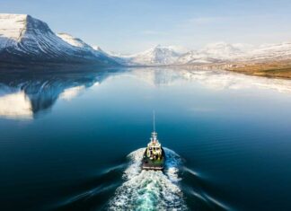 Der unglaubliche Fischreichtum macht Island zu einem Paradies für Angler. Da sich die Bedingungen vor Ort schnell ändern können, sind Tipps von einem Insider besonders wertvoll. Bild: Icelandair