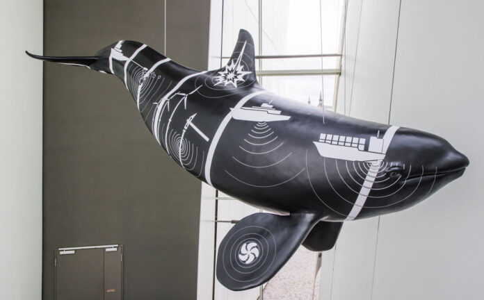 Ein sechs Meter langes Modell eines Schwerwals im Foyer des OZEANEUM Stralsund trägt symbolisch die vom Menschen erzeugten Lärmquellen, denen Meerestiere ausgesetzt sind. Fotos: Johannes-Maria Schlorke