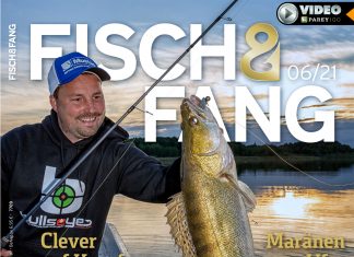 FISCH & FANG 06/2021