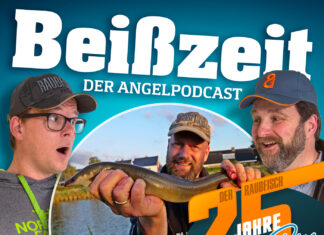 Podcast Beißzeit Folge 6