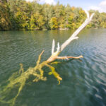 Der Stechlinsee in Brandenburg.