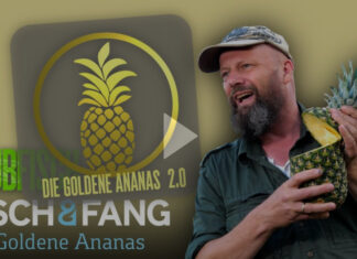 Die Goldene Ananas 2.0