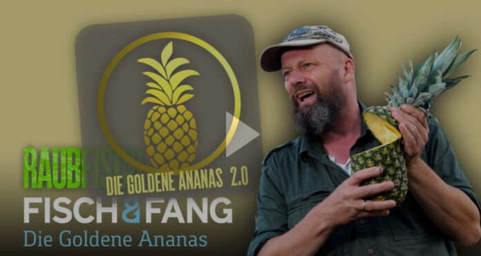 Die Goldene Ananas 2.0