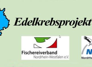 Edelkrebsprojekt NRW