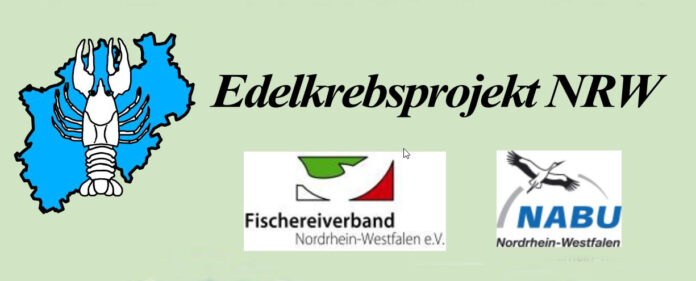 Edelkrebsprojekt NRW