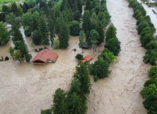 Hochwasser an der Save in Slowenien.