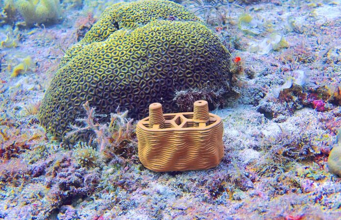 Tonziegel für Korallen