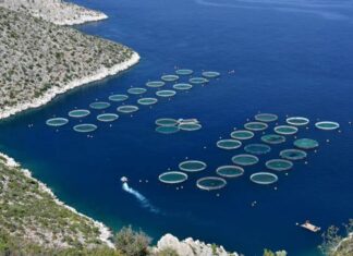 Aquakultur in Europa stagniert