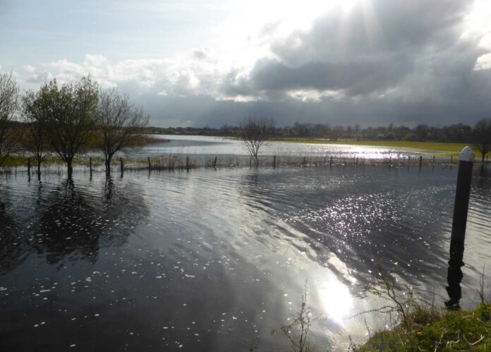 Bei Hochwasser müssen sich Flüsse in ihren Auen ausbreiten dürfen. In Deutschland sind diese Bereiche oft bebaut, wodurch es regelmäßig zu Schäden kommt. Symbolbild: Redaktion