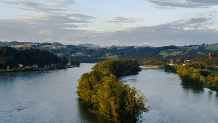 Der Fischbestand der oberen Donau wurde früher vor allem durch Begradigung und Querbauwerke beeinträchtigt, künftig werden höhere Temperaturen ähnlich negative Auswirkungen auf die Fische haben. Bild: Joachim Pressl/Unsplash