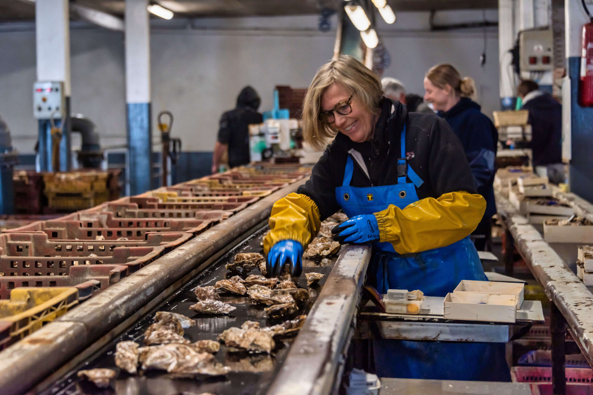 In der Ferme Marine in Cancale werden die begehrten Austern nach Qualität und Größe sortiert. Bild: La Ferme Marine Cancale
