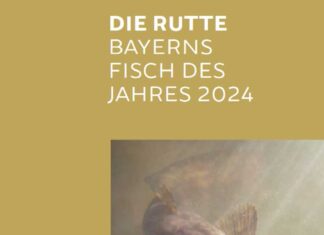 Die Rutte oder Quappe ist Bayerns Fisch des Jahres 2024. Diese Broschüre des Landesfischereiverbands Bayern kann unter diesem Beirtag heruntergeladen werden. Bild: Screenshot