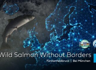 Wild Salmon Without Borders