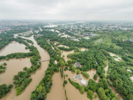 Halle im Juni 2013. Die Saale zählt nach den Ergebnissen der Wissenschaftler zu den Flüssen mit einer hohen Hochwasser-Komplexität. Bild: André Künzelmann/UFZ