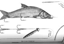 Spinnsysteme für tote Köderfische waren in der zweiten Hälfte des 19. Jahrhunderts der letzte Schrei und mussten eigenhändig gebaut werden. Bilder: M. Bötefür