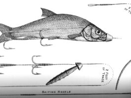 Spinnsysteme für tote Köderfische waren in der zweiten Hälfte des 19. Jahrhunderts der letzte Schrei und mussten eigenhändig gebaut werden. Bilder: M. Bötefür