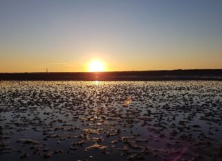 Sonnenuntergang über dem Wattenmeer. Viele Urlauber zieht es an die Nordsee, aber beliebte Destinationen und Urlaubszeiten verändern sich. Bild: Pathfinder