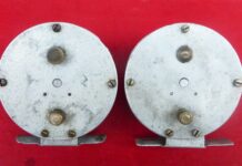 Rechts die normale Cyprinus mit halbkugelförmigem Klickerschieber (oben). Bei der linken Rolle ist der Schieber wie die untere Bremsschraube gearbeitet.