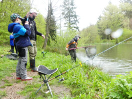 Unter sachkundiger Aufsicht der Vereinsmitglieder konnten sich die Kinder am Vereinsweiher beim Forellenangeln ausprobieren. Bilder: Fischerei-Gemeinschaft Einrich-Aar