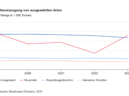 Die Produktion von Muscheln in Deutschland ist stark gestiegen, die Fischerzeugung singt leicht. Abbildung: Destatis
