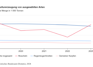 Die Produktion von Muscheln in Deutschland ist stark gestiegen, die Fischerzeugung singt leicht. Abbildung: Destatis