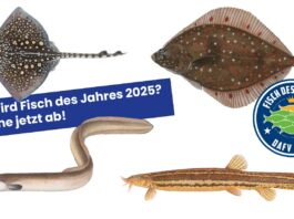 Abstimmung Fisch des Jahres 2024