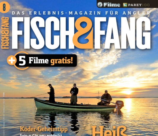FISCH & FANG 08/2024