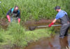 Biologen der Fischereibiologischen Station Ems-Hase beim E-Fischen in einem Nebengewässer der Ems. Foto: Ems TV